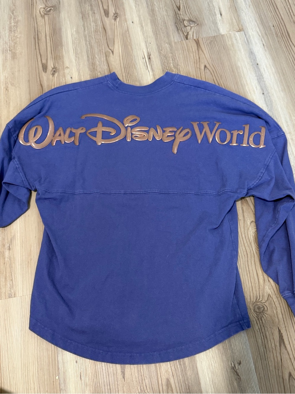 Walt Disney World 50th anniversary spirit jersey